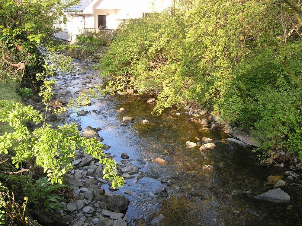Rhu Whistlers Dell B&B المظهر الخارجي الصورة